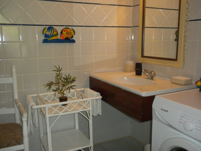 La salle de bain avec le lave linge